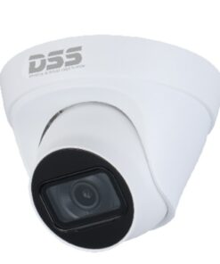 Camera IP DS2431TDIP-S2 Dahua DSS