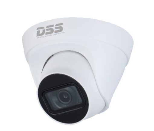 Camera IP DS2431TDIP-S2 Dahua DSS